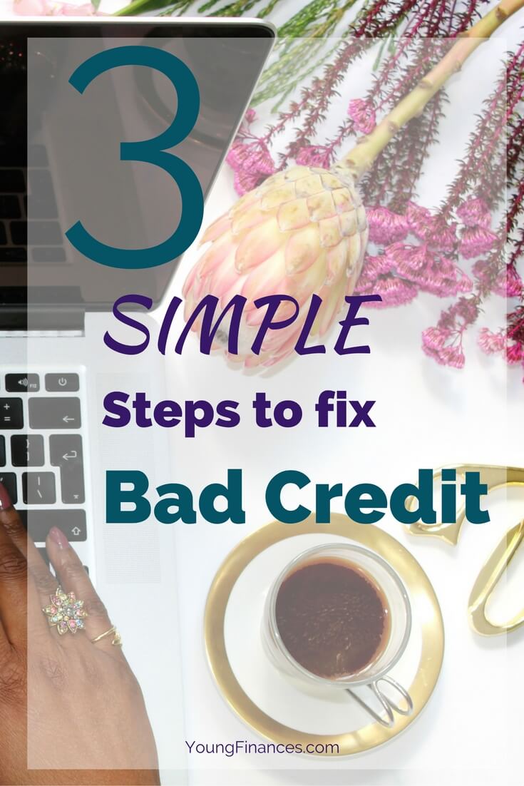 These steps are so easy. Perfect guide for do it yourself credit repair. 